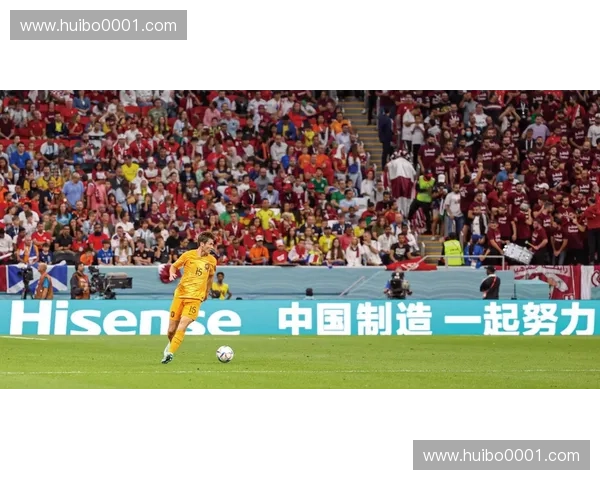 南非世界杯冠军背后的奋斗故事与荣耀之路全景解析